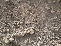 Dirt