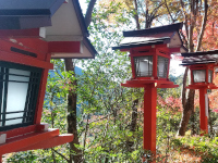 Japanese traditional lamps