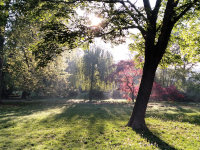 Park