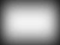 Vignette 2