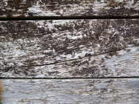Old wooden wall