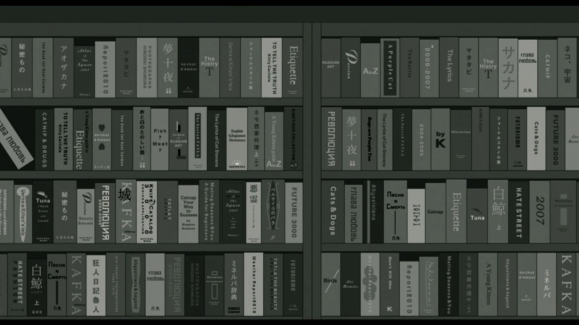 Czech books by Kafka in Tamala 2010 anime.