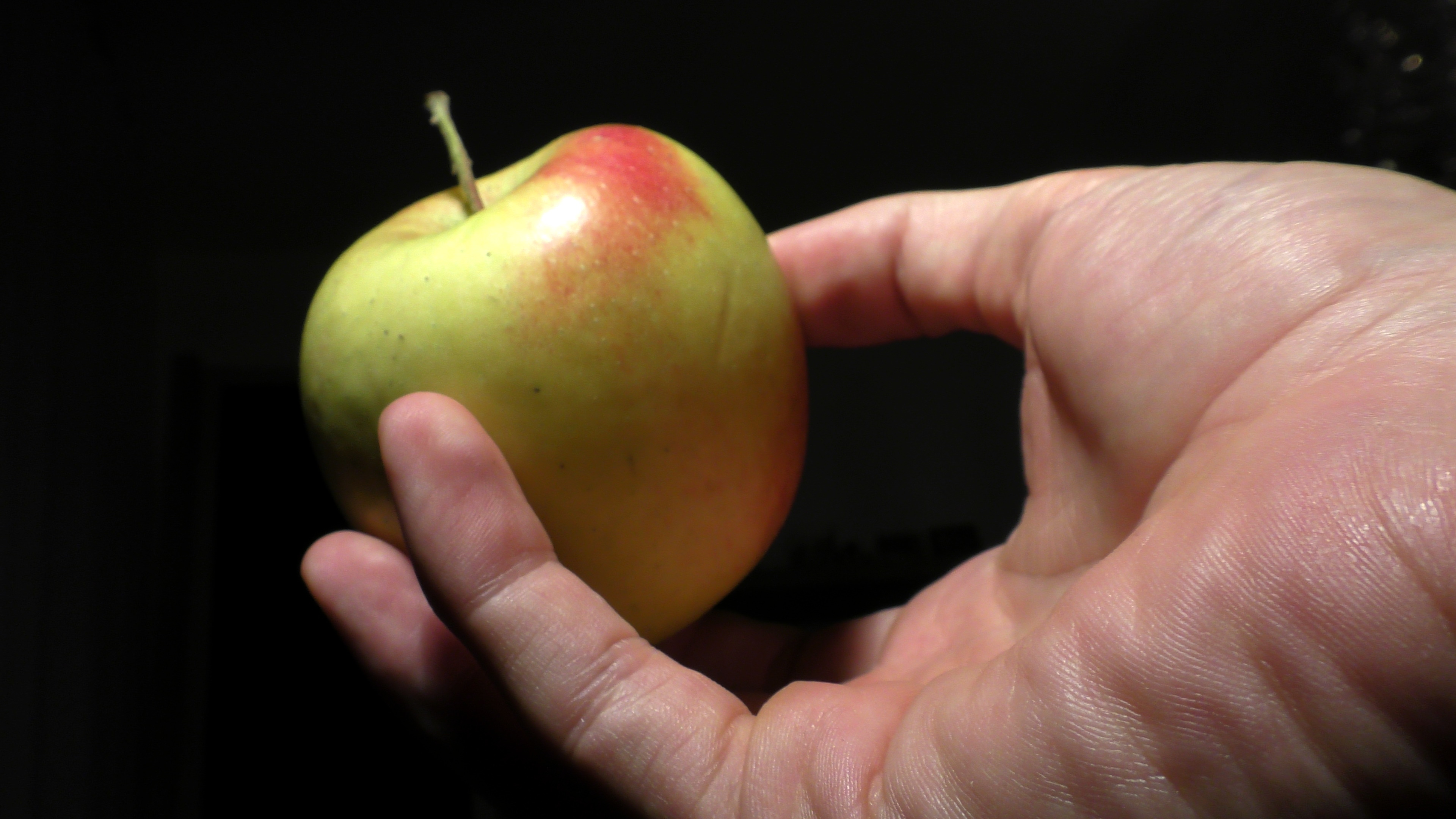 Apple in hand