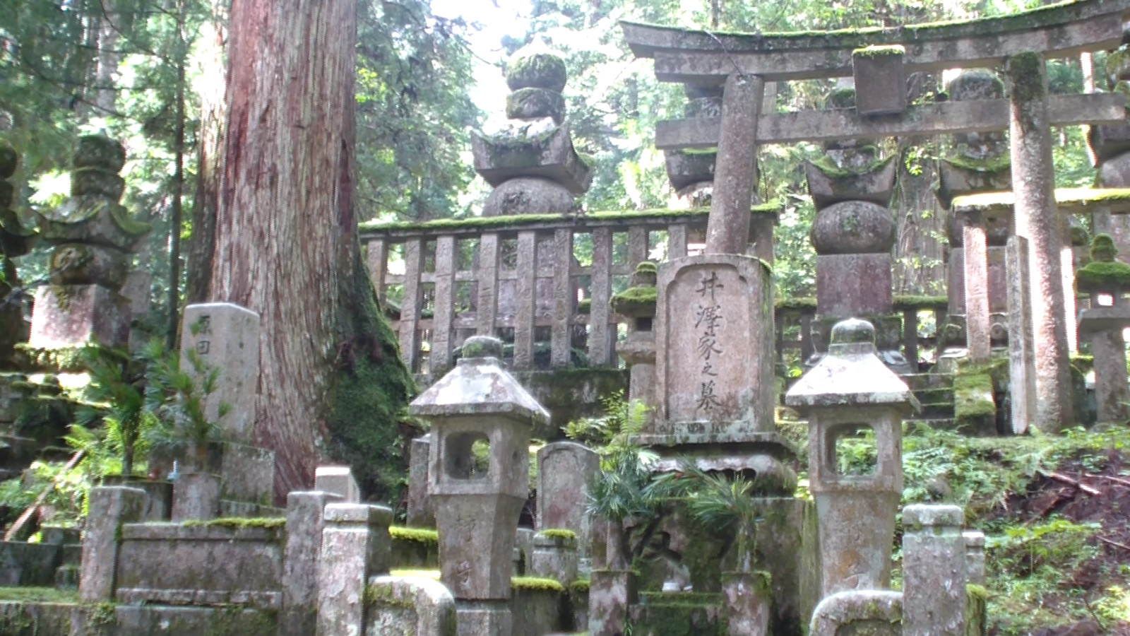 Graveyard in Koya-san