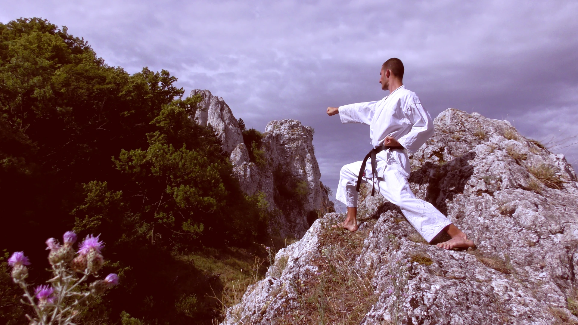 Tsuki - the basic karate punch technique