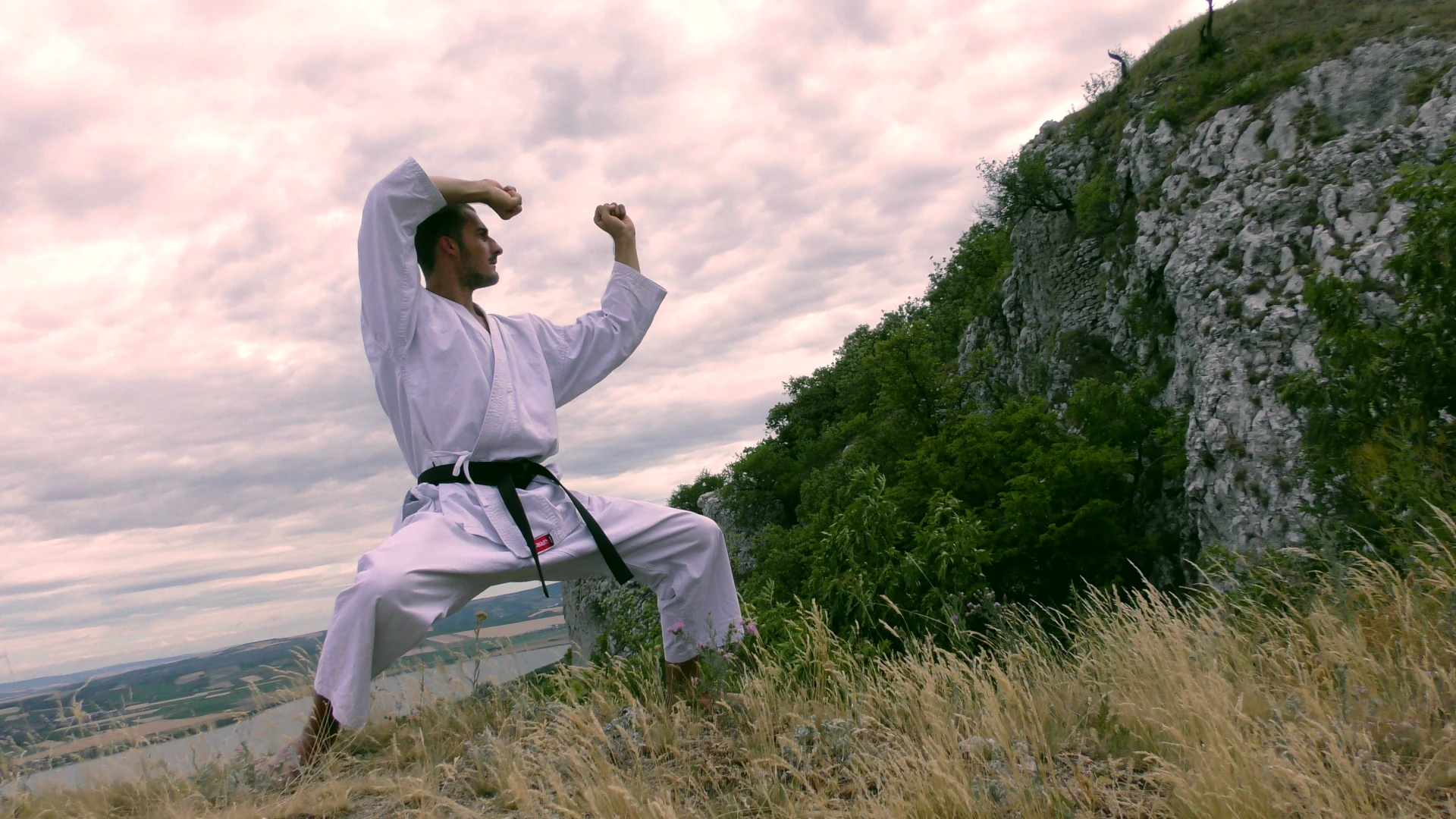 Blocks at the beginning of Heian Nidan Shotokan kata
