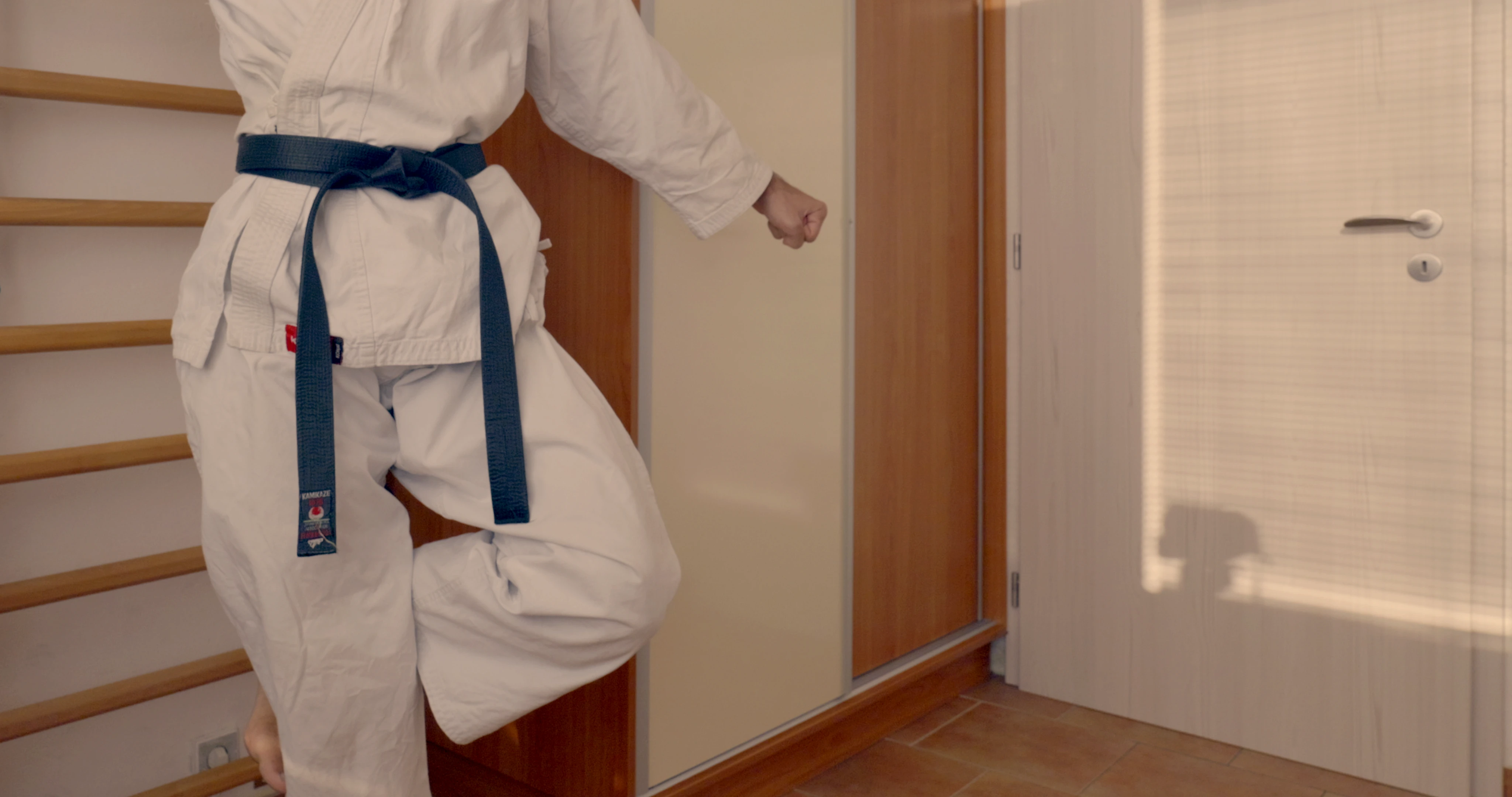 Tsuru dachi (also called sagi-ashi dachi) is a high stance on one leg and is used in kata Gankaku.