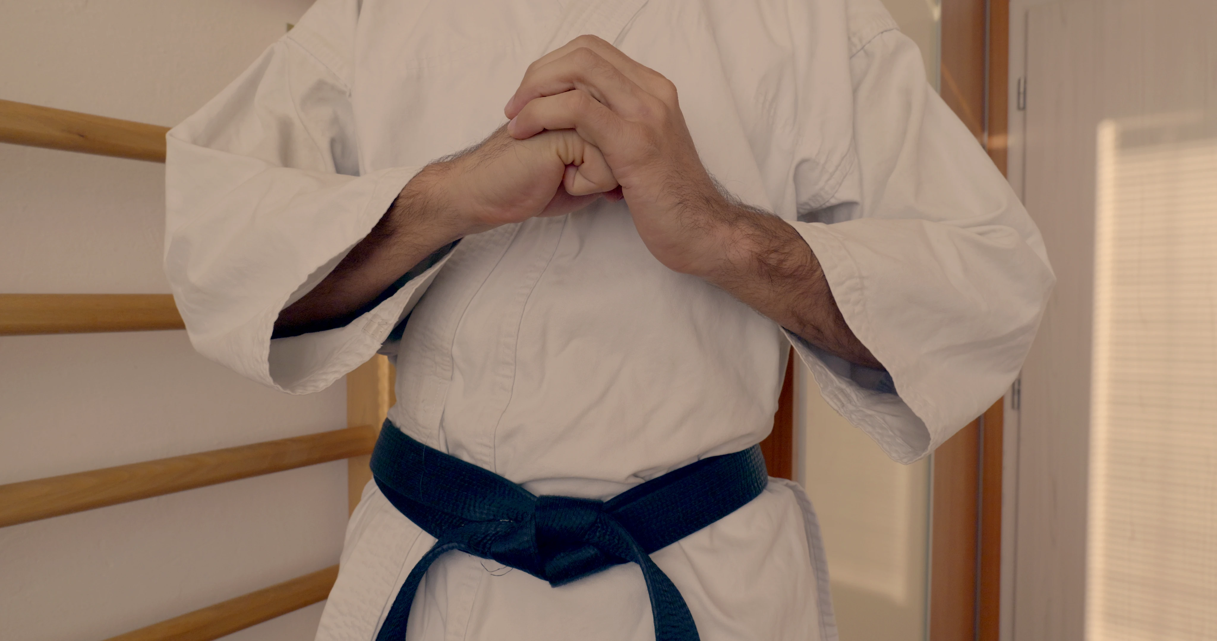 Beginning pose of a Shotokan karate kata Jitte and Jion. Resembles the Chinese kung-fu salutation.