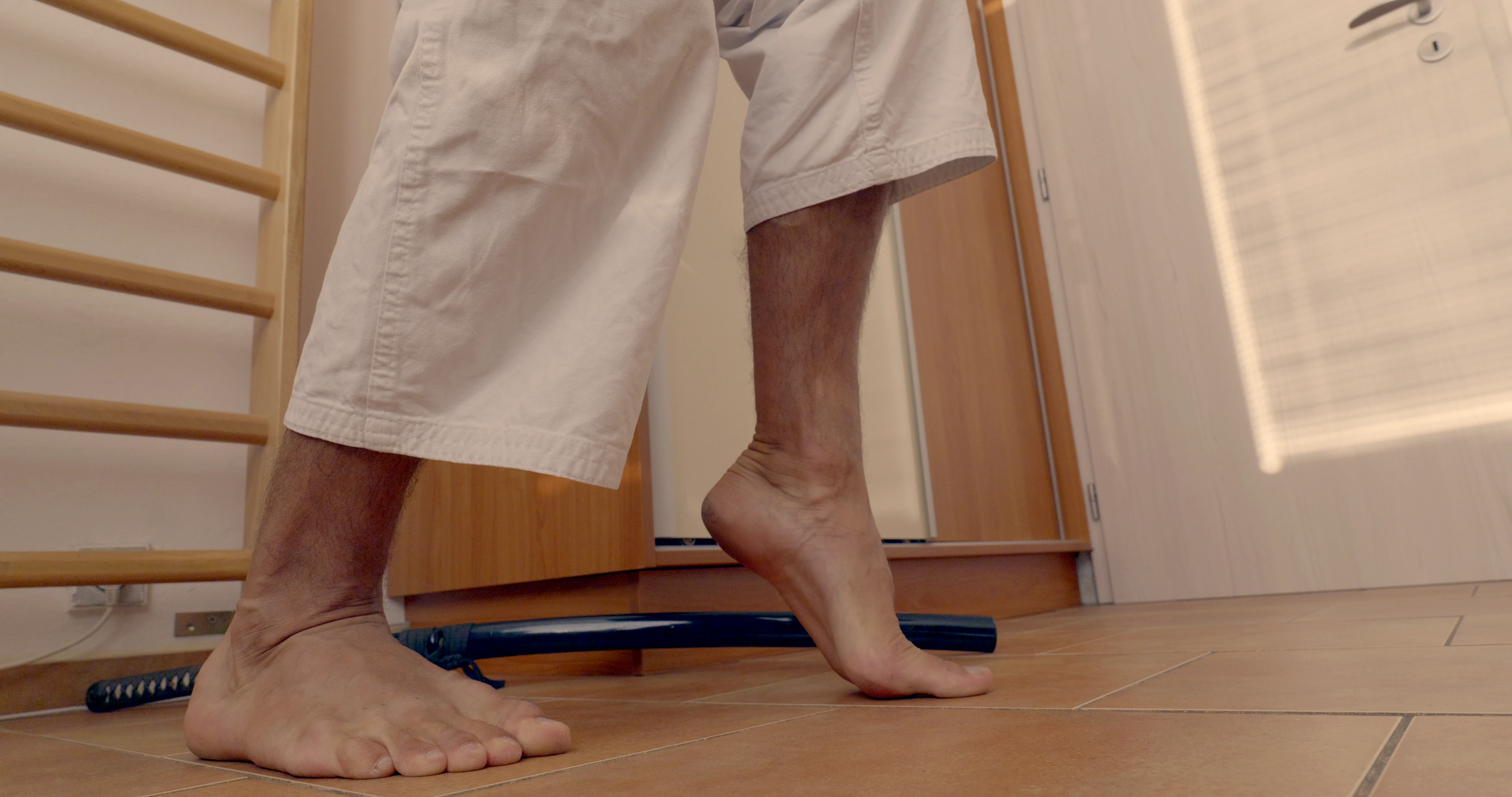 Neko-ashi dachi is a Shotokan karate stance where one leg is slightly lifted on its toes and is used in kata Unsu or Gokushio-dai.