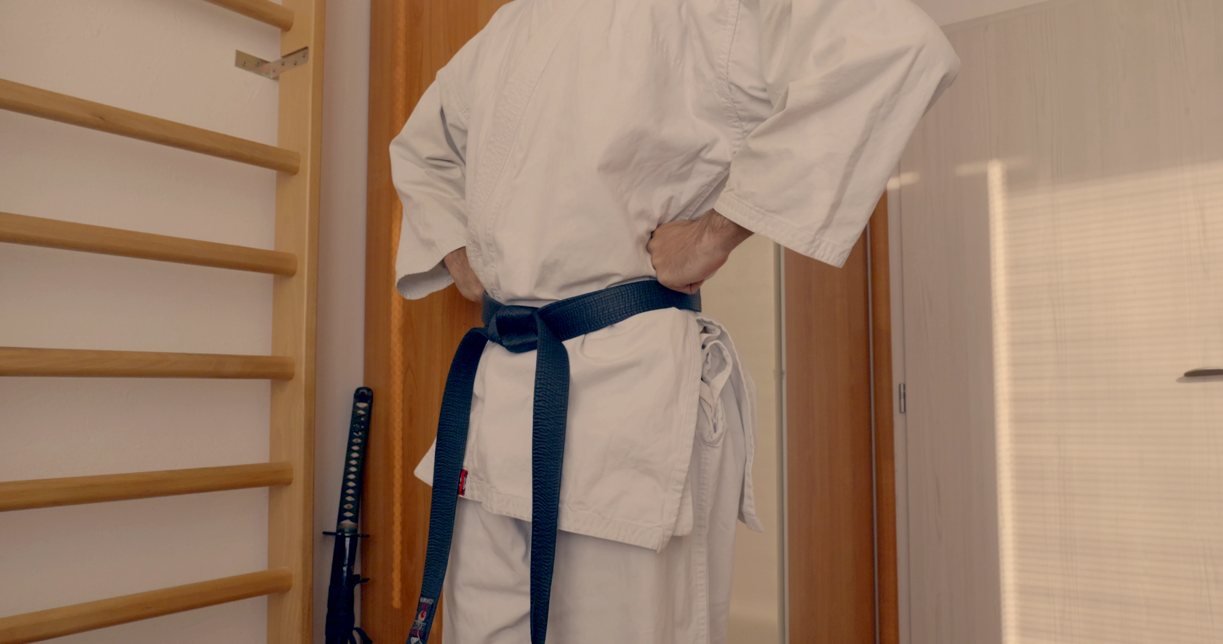 A pose in the middle of a Shotokan karate kata Heian Sandan. This looks like a classic pose we take to rest our hands at the hips.