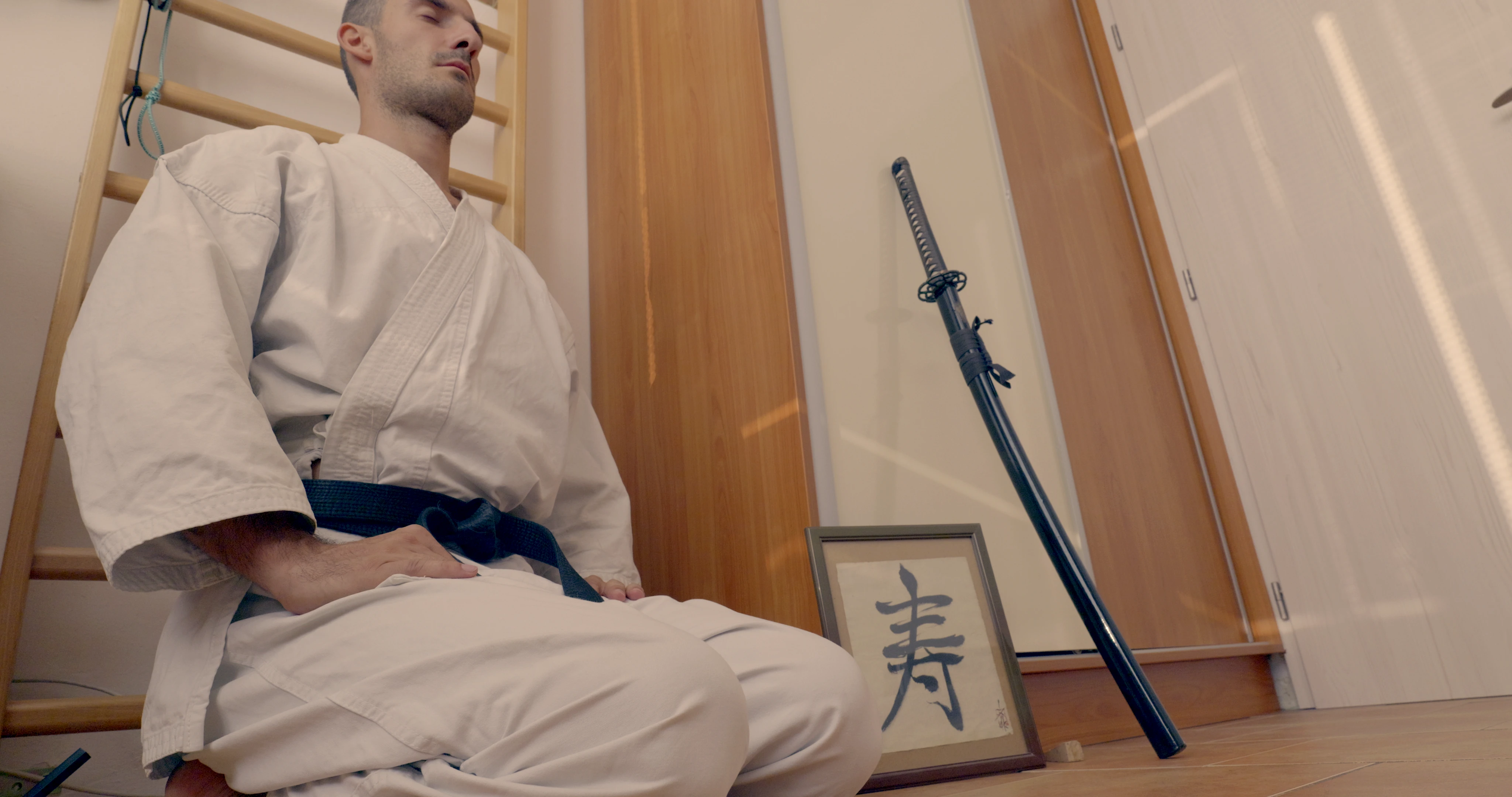 Traditional Japanese kneeling seiza position used in many martial arts like karate.