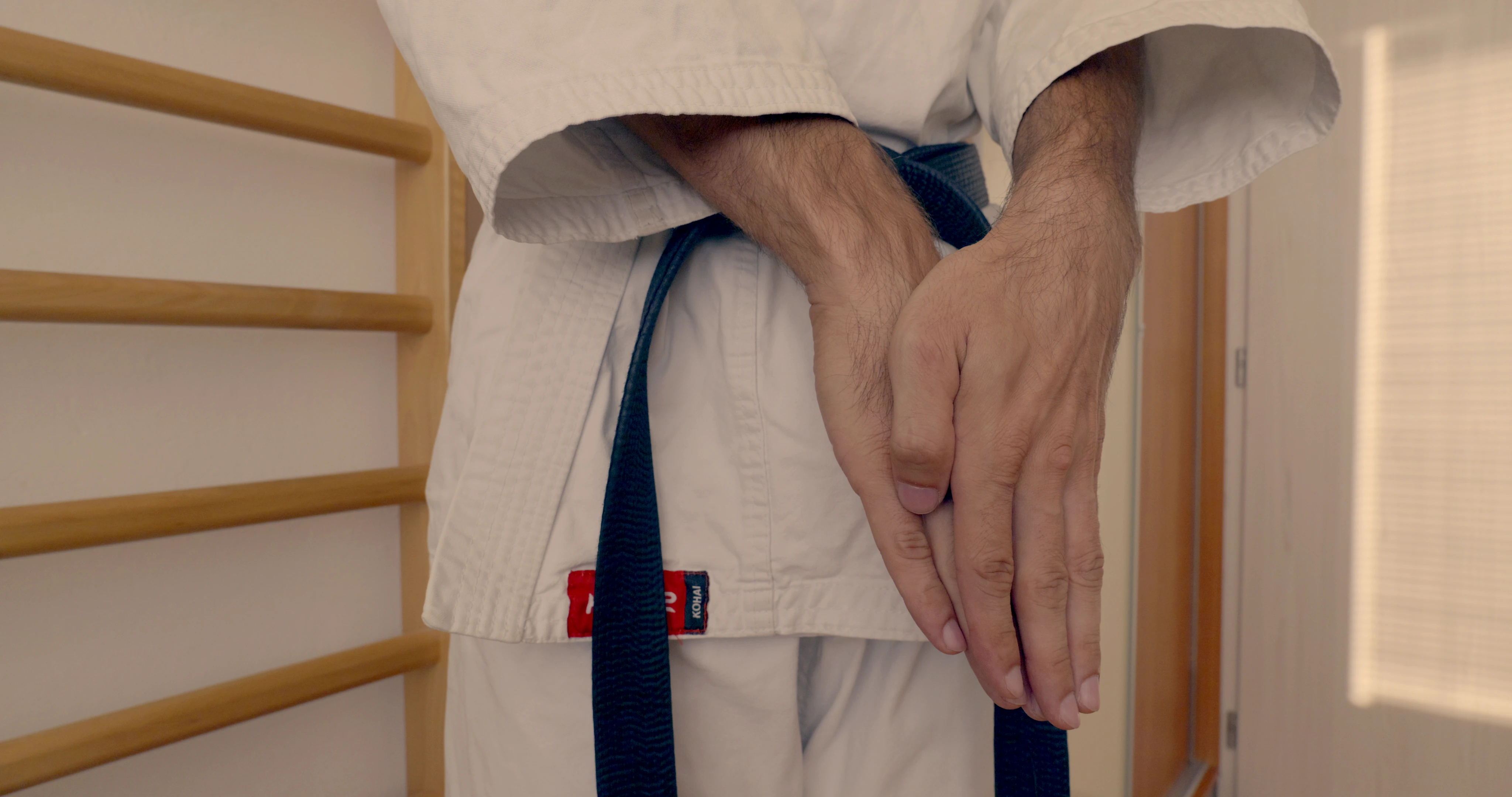Beginning pose of a Shotokan karate kata Tekki nidan. It resembles holding a bag in front of us.