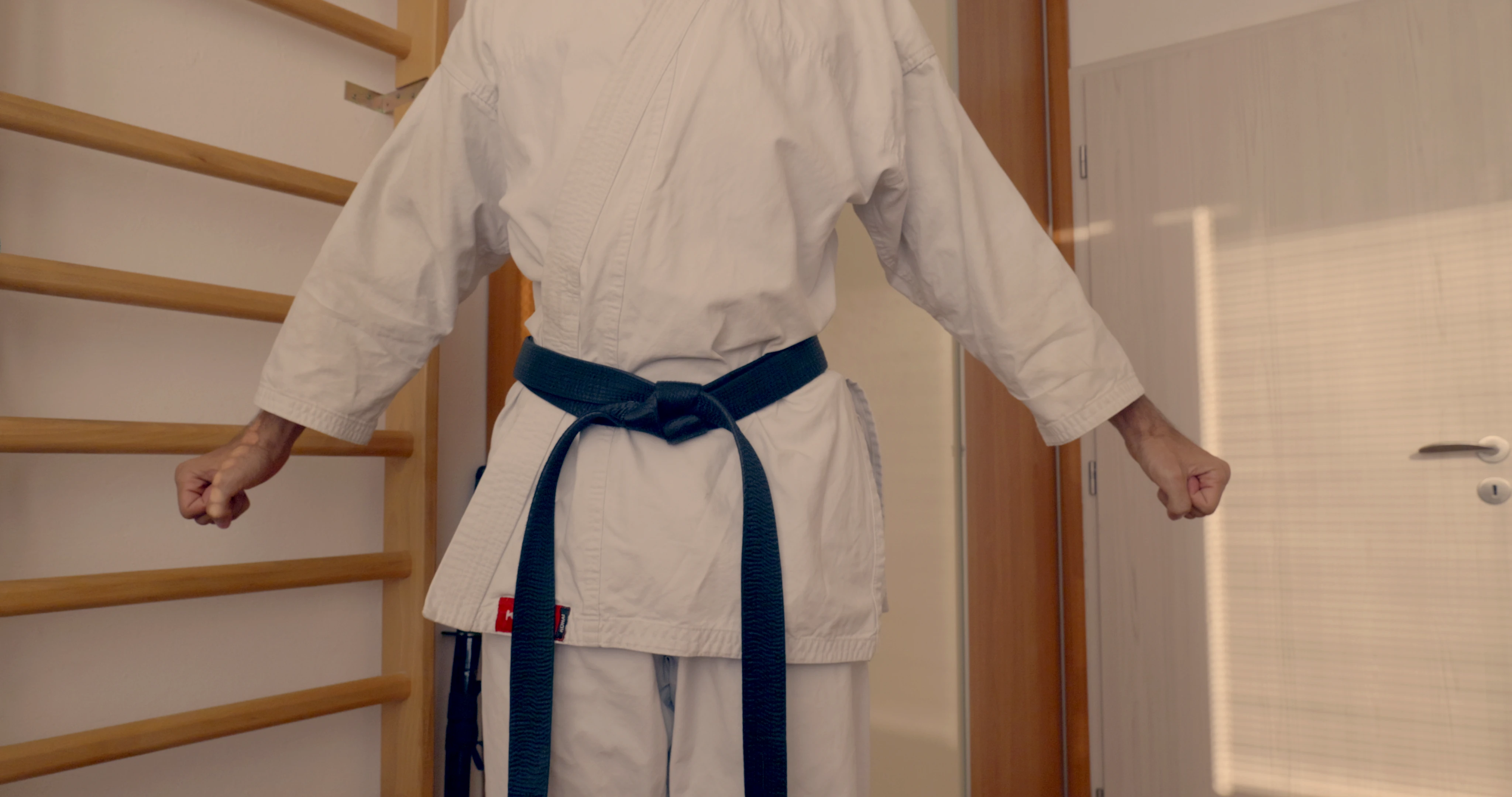 Beginning pose of a Shotokan karate kata Unsu. Seems like holding two bags at the sides.