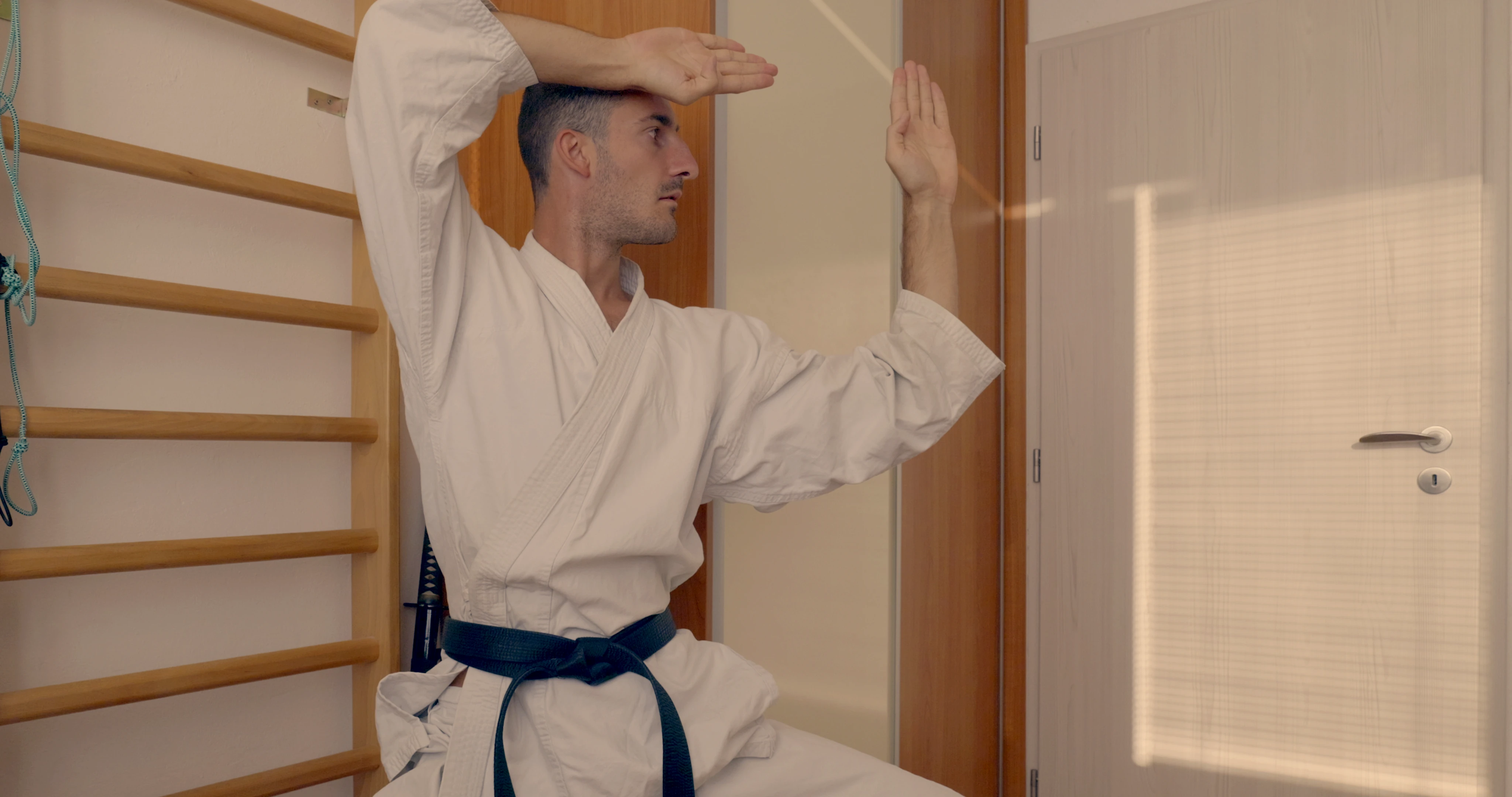 Beginning technique of a Shotokan karate kata Heian Yondan. Two blocks protecting the body and the head.
