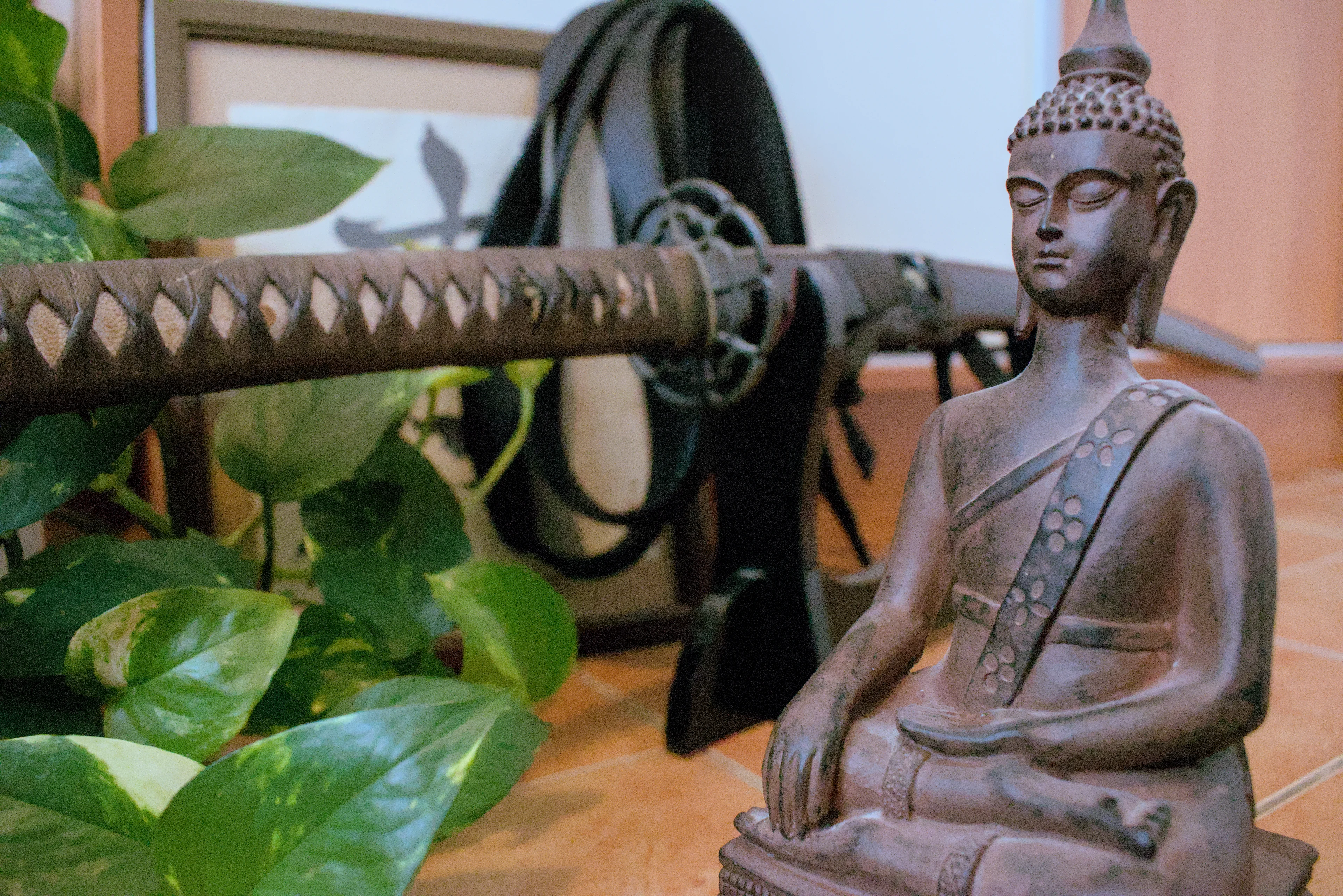 It seems to be hard to connect the art of fighting with a spiritual path which should lead to inner peace.