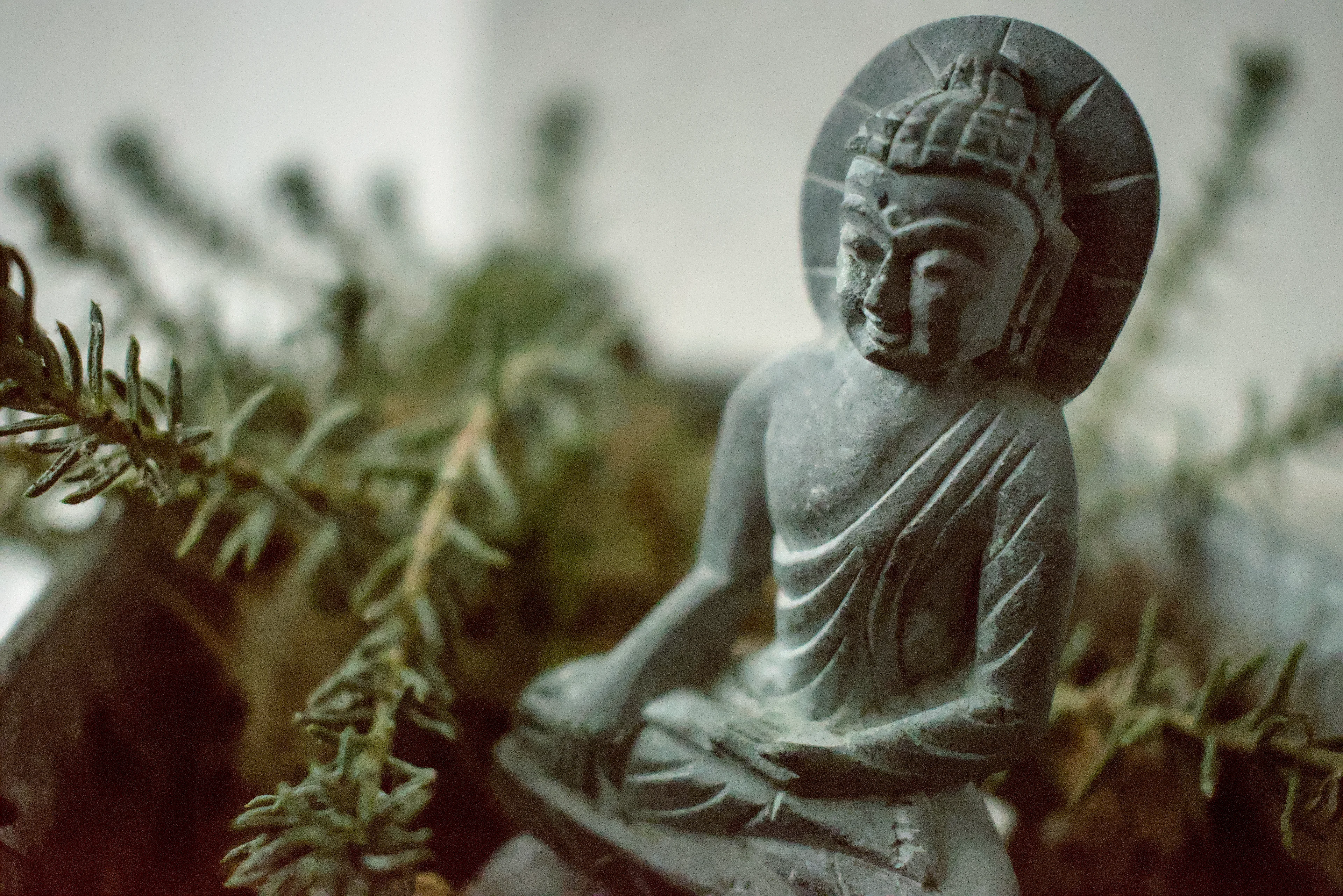I bought this small Buddha statue during my trip to India at Ajanta Caves. I love how he smiles!