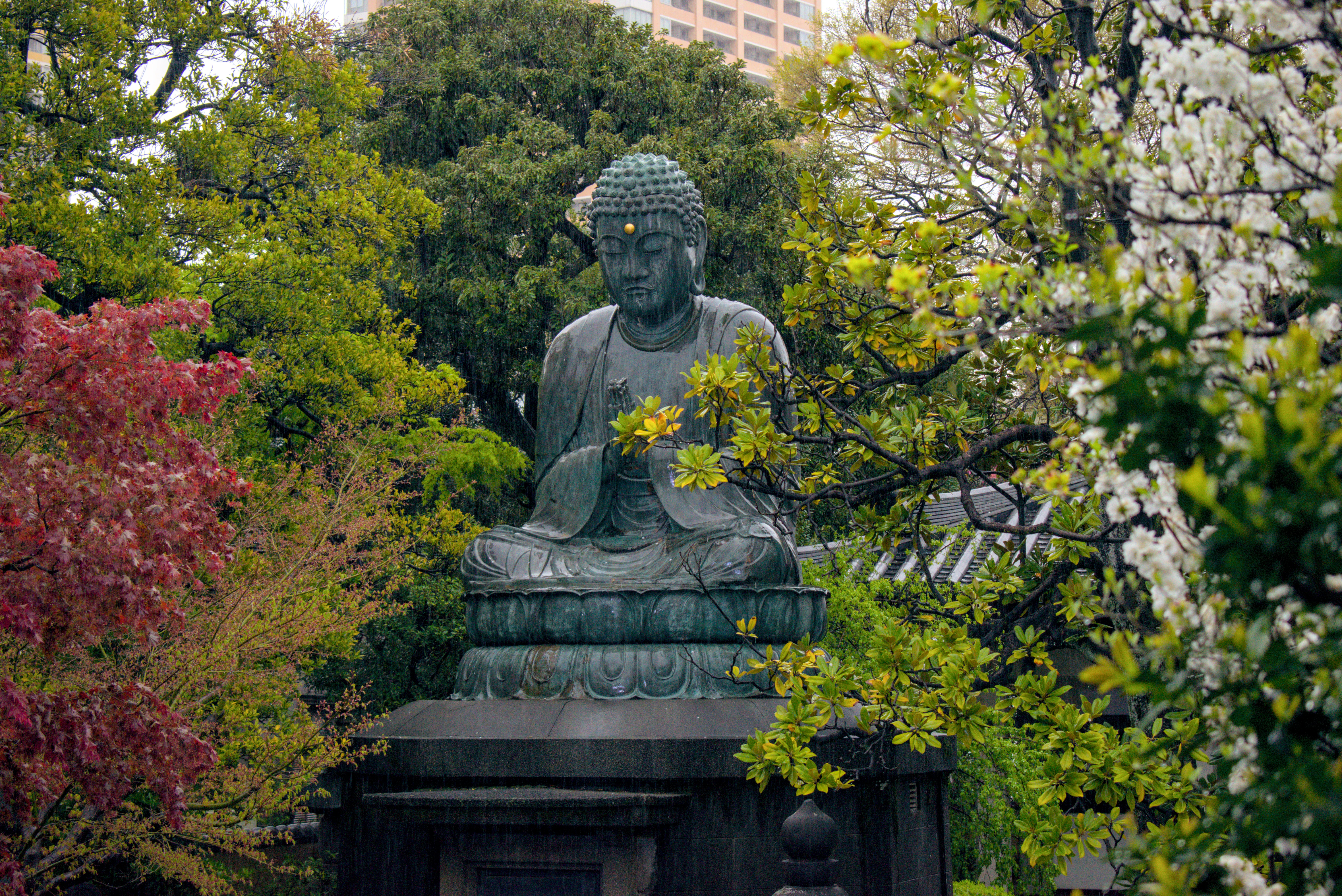 Beautiful Buddha statue in Tennoji temple in Tokyo.